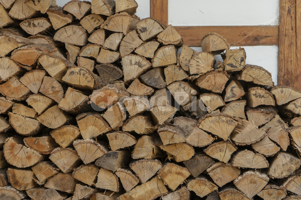 장작더미,땔감,나무,목재,pileoffirewood,fuel,wood