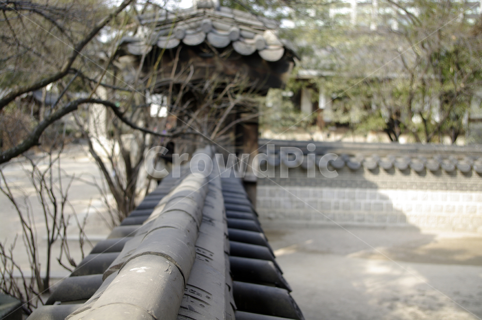 전통,tradition,담,기와,담장,한국전통,한국문화,korean traditional,korean culture