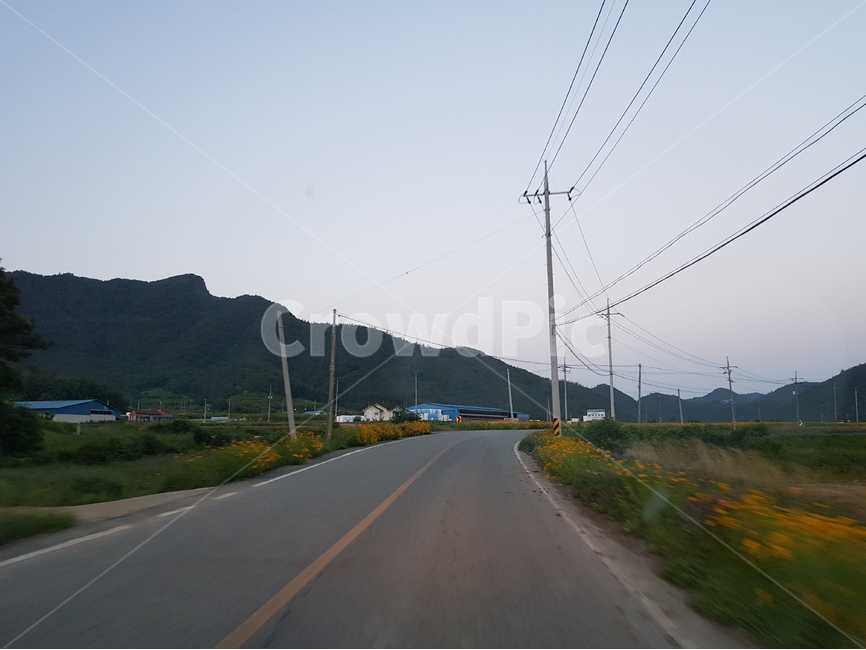 시골풍경,도로,산,자연,꽃길,녹색,초록색,주황색,하늘,전깃줄,전봇대,시골,마을,풍경,landscape,country,rural,town