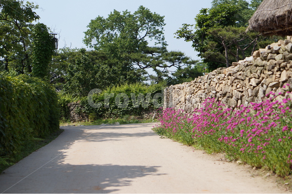 외암리,풍경,5월,맑음,꽃,시골,마을,풍경,landscape,country,rural,town