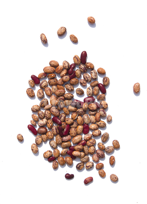 cranberrybean,콩,호랑이콩,호랑이강낭콩,얼룩,무늬,식재료,vegetable,갈색,브라운,빨강,레드,붉은색,곡류,곡식,음식,흰배경,탑,탑뷰,탑앵글,모아놓은,모으기,농작물,음식재료,콩류,모아둔,자연,식물,열매,많은,다수