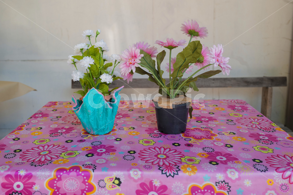 plant,꽃,flower,식물,테이블,화분,꽃화분