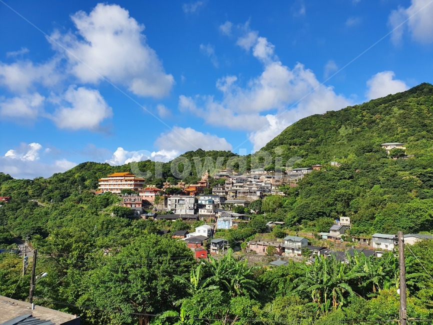 대만,타이베이,taipei,날씨,하늘,숲,나무,집,건물,구름,맑음,풍경,그린,green,blue,weather,sunny,forest,tree