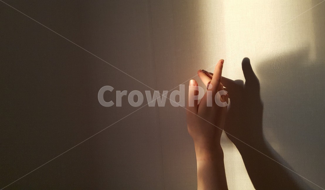 finger,손가락,human,인간,person,사람,감성,오후