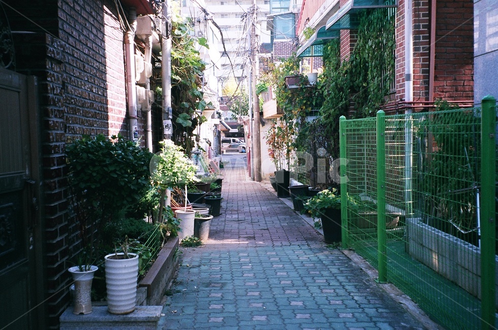 골목길,골목,도시,city,도로,street,거리,building,건물,골목길,alley