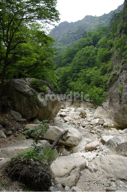 산,계곡,바위,암석,풍경,나무,설악산,자연,풍경,nature,landscape,outdoors,옥외