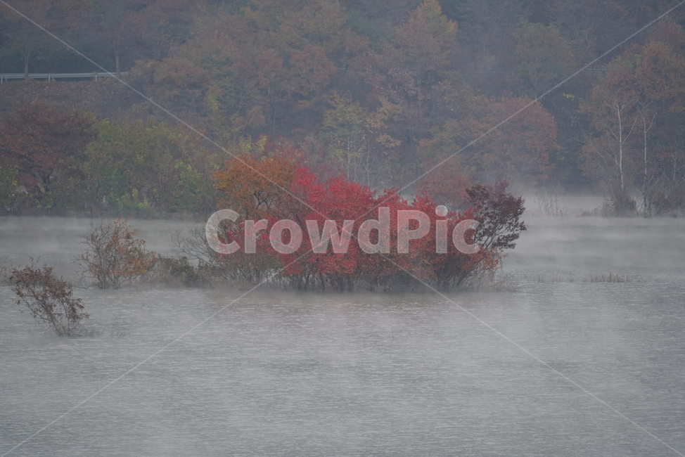 물안개,용담댐,진안군,저수지,담수지,호수공원,waterfog,nature,자연,weather,날씨,fog,안개