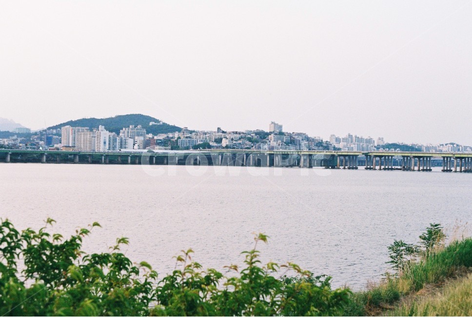 한강,산책,강변,갈대,갈대숲,아련,가을