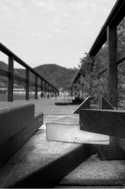 목공,공사중,나무,흑백,나이테,감성,토목,흑백,모노톤,monochrome,black and white