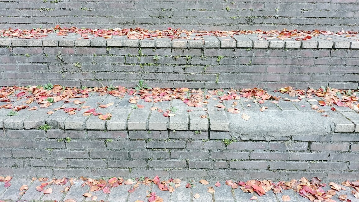 walkway,보도,낙엽,계단,나뭇잎,벽돌,가을,계절,fall,autumn,season,식물,자연,plants,nature