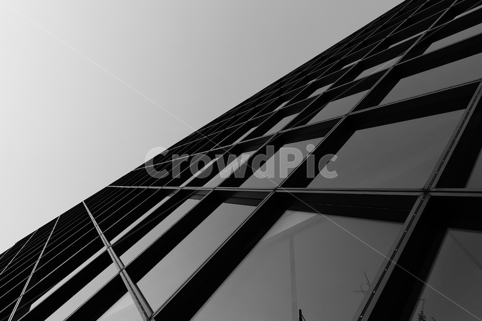 건물,유리창,윈도우,격자,사각형,네모,직선,흑백,모노톤,monochrome,black and white,건축물,건물외관,exterior,building,structure,architecture,construction