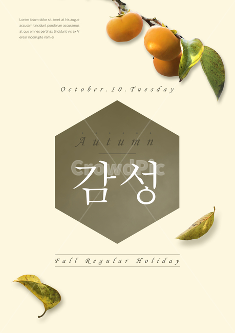 단감,감,나뭇잎,가을,이벤트,쇼핑,팝업,가을,계절,fall,autumn,season,축제,행사,festival,carnival,event,그래픽,일러스트레이션,graphic,illustration,plant,식물