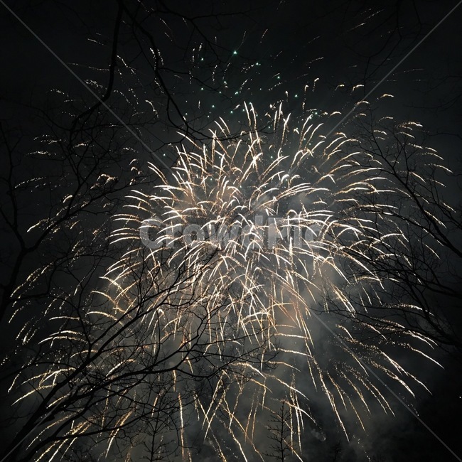 폭죽,불꽃축제,장노출,야경,밤,품경,nightscape,nightland