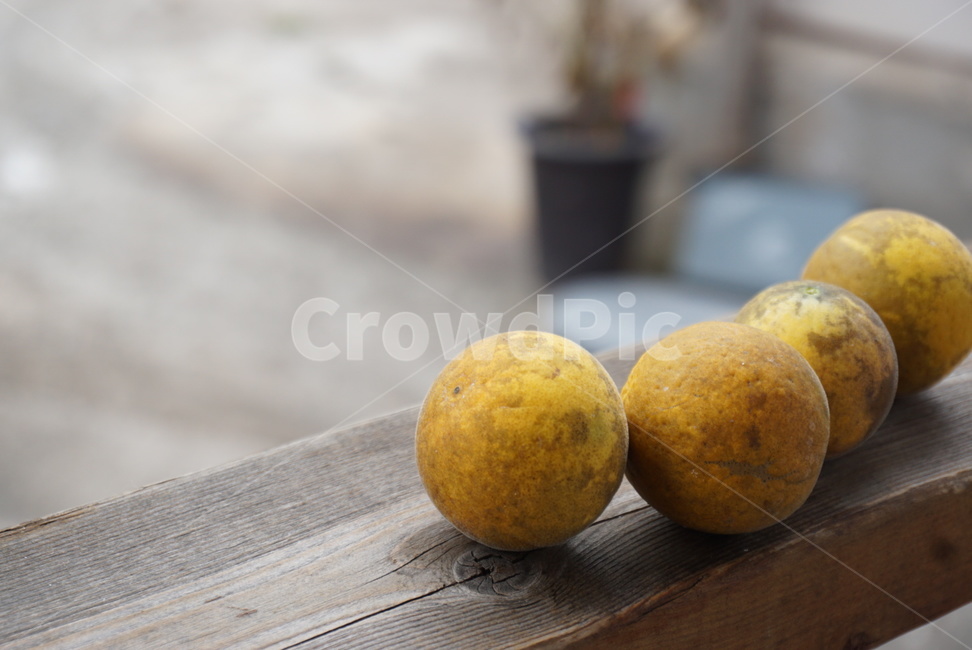Outfocusing,Fruit,round fruit,yellow,yellow fruit,kumquat