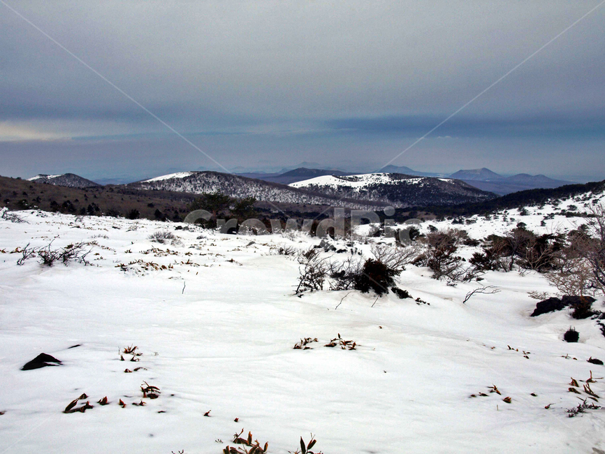 어리목,제주도,한라산,설경,겨울산,눈,등산,설화,오름,겨울,계절,winter,season,자연,풍경,nature,landscape,outdoors,옥외,plateau,고원,mountain,산