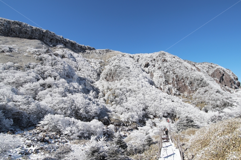 한라산,상고대,설산,겨울,겨울산행,눈꽃,진달래대피소,성판악,관음사,제주도,제주,백록담,겨울,계절,winter,season,자연,풍경,nature,landscape,한국자연풍경,한국자연경관,korea nature landscape,제주도,jeju,jeju island,outdoors,옥외,ice,얼음