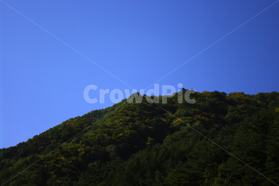 하늘,산,숲,나무,풍경,자연,풍경,nature,landscape,leisure activities,레저 활동,adventure,모험,outdoors,옥외,slope,경사