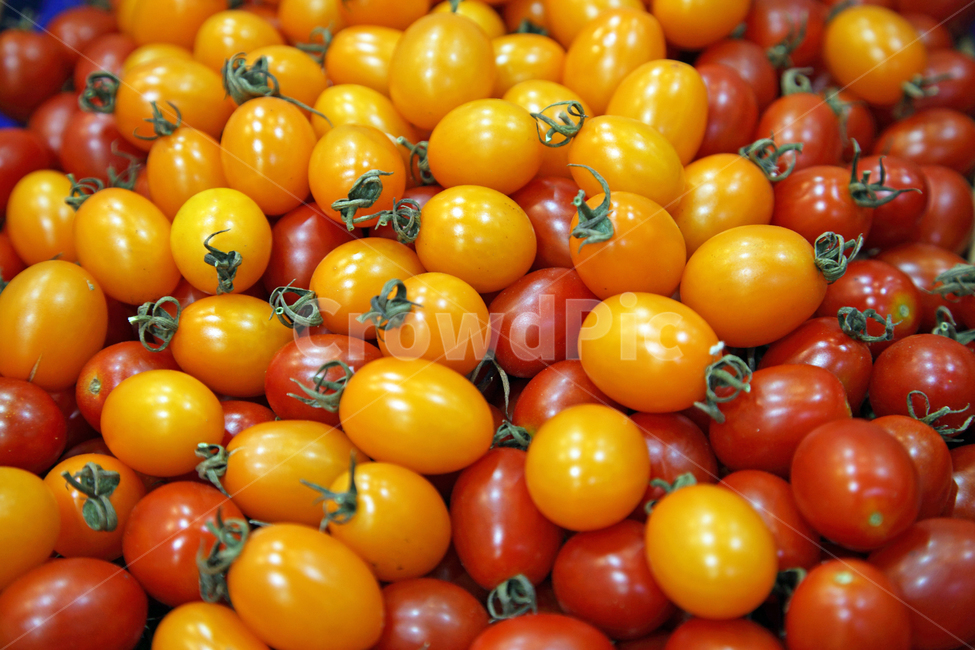 ingredient,Cherry tomato,fruit,pattern,Agricultural products,tomato,crops,Orange,food,Red,red,Food Ingredients,ingredients,Bell,fresh,object