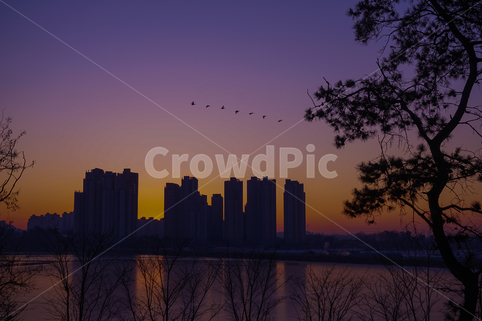 호수,여명,해돋이,새벽,감성,겨울,계절,풍경,야경,밤,풍경,nightscape,night,landscape,도시,city,실루엣,그림자,silhouette,shadow,nature,자연,outdoors,옥외,dawn,sunset,일몰,red sky,붉은 하늘,sky,하늘,dusk,황혼