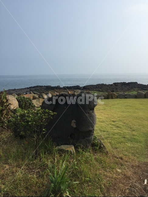 제주도,풍경,자연,산책,여름,landscape,jeju,summer,season,제주,자연,풍경,nature,landscape,제주도,jeju,jeju island