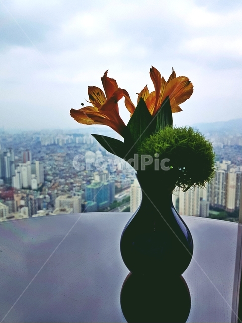 꽃,화병,풍경,장식,인테리어,테이블,경치,물건,오브젝트,landscape,감성사진,interiordesign,실내디자인,실내,식물,자연,plants,nature,꽃,flower,실내용화초,화분,화초,house plant,인테리어,실내디자인,interior design