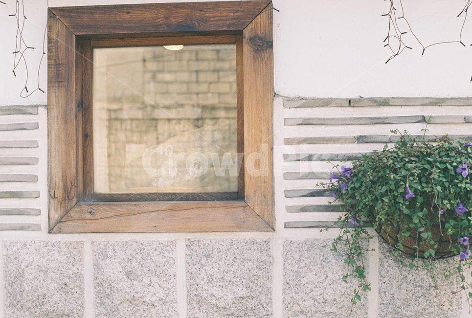 창,네모,화분,담,창문,건축물,건물외관,exterior,building,structure,architecture,construction