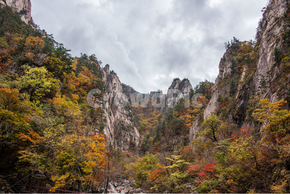 설악산,국립공원,가을,단풍,천불동계곡,화채능선,기암괴석,가을,계절,fall,autumn,season,자연,풍경,nature,landscape,outdoors,옥외,mountain,산