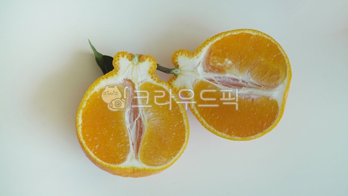 한라봉,제주한라봉,citrusfruit,감귤류과일,food,fruit,주황색,단면