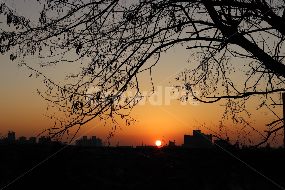 자연,일몰,redsky,저녁노을,sky,nature,자연,풍경,nature,landscape