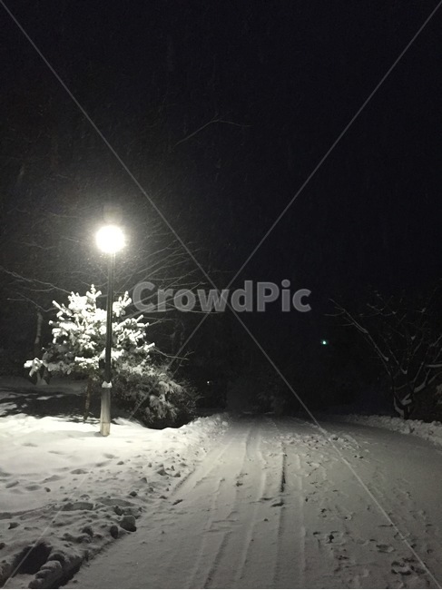 nature,자연,outdoors,옥외,winter,snow,snowlight,겨울밤,겨울풍경,겨울,계절,winter,season