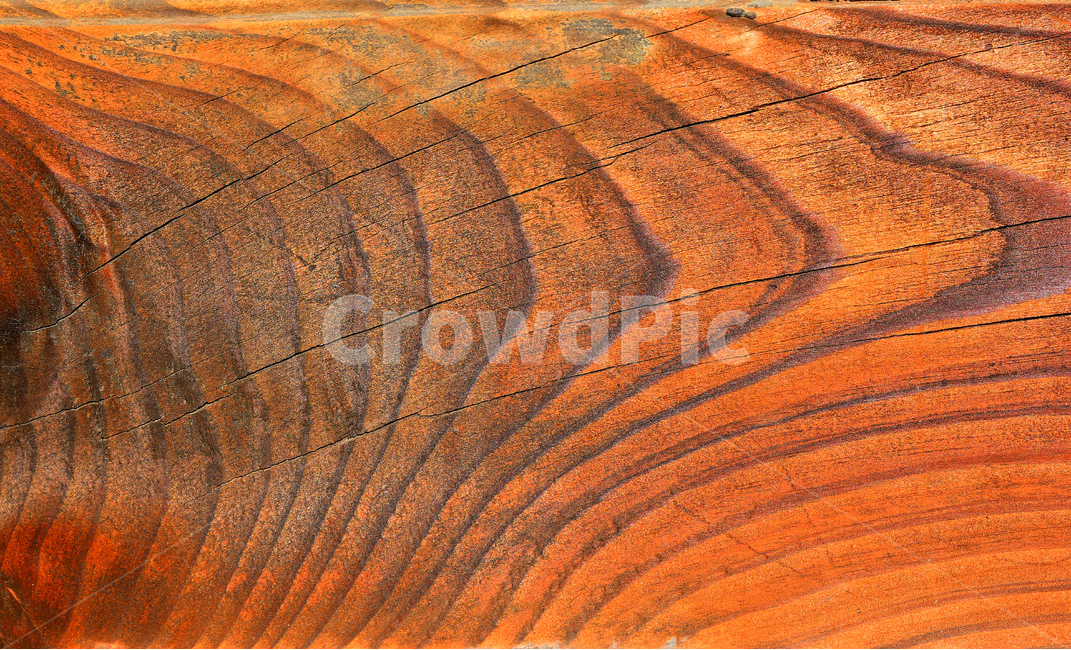 텍스쳐,패턴,나무,바탕,빈티지,배경,나뭇결,wood,백그라운드,질감,표면,texture,background,pattern,vintage,나이테,흔적,무늬,세월,추상,텍스처,질감,패턴,texture,pattern