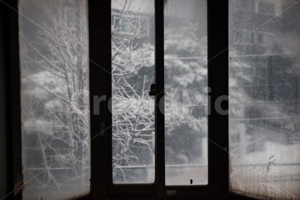 눈,겨울,풍경,창밖,쓸쓸함,겨울,계절,winter,season,감성,sensible,feeling