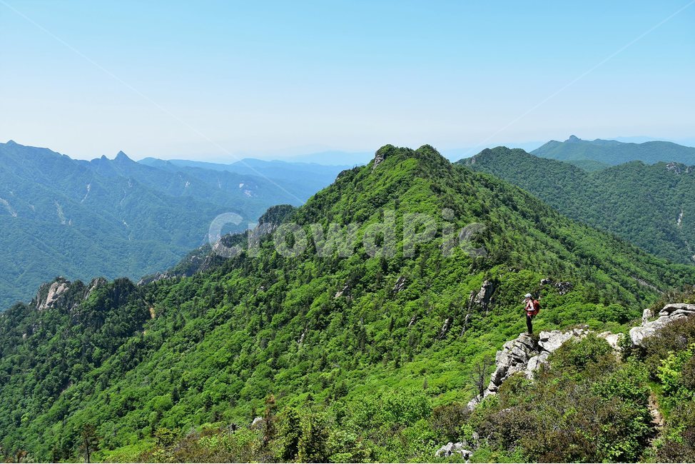 설악산,풍경,국립공원,자연,명산,100대명산,nature,산,비경,landscape,서북능선,안산,바위,자연,풍경,nature,landscape,한국자연풍경,한국자연경관,korea nature landscape,hill,언덕,outdoors,옥외