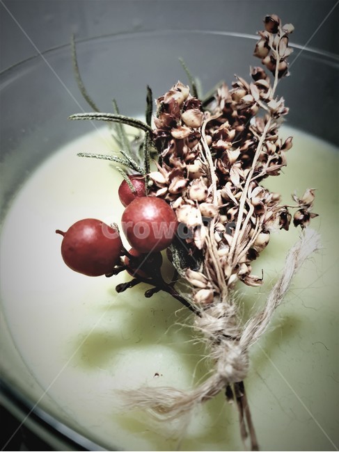 감성,드라이플라워,휴식,캔들,선물,식물,자연,plants,인테리어,실내디자인,flower,nature,기념일,축하,celebrate,celebration,feeling,소품,감성사진,내부인테리어,꽃사진,interiordesign