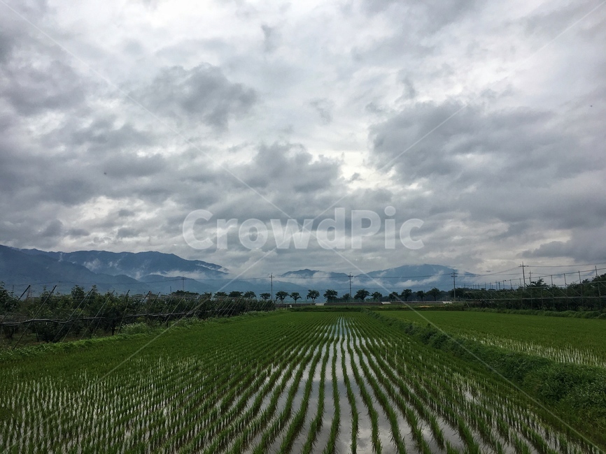 하늘,시골,구름,농촌,sky,rural,cloud,agriculture,농업,농사,agriculture,farming,farming industry