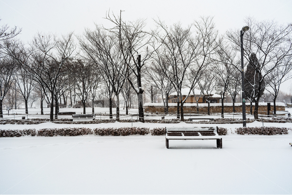 눈발,백설,눈길,흰눈,겨울풍경,겨울,계절,winter,season,한국전통,한국문화,korean traditional,korean culture