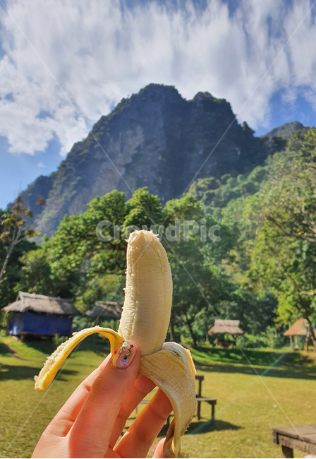 바나나,하늘,산,banana,mountain,sky,식물,plant