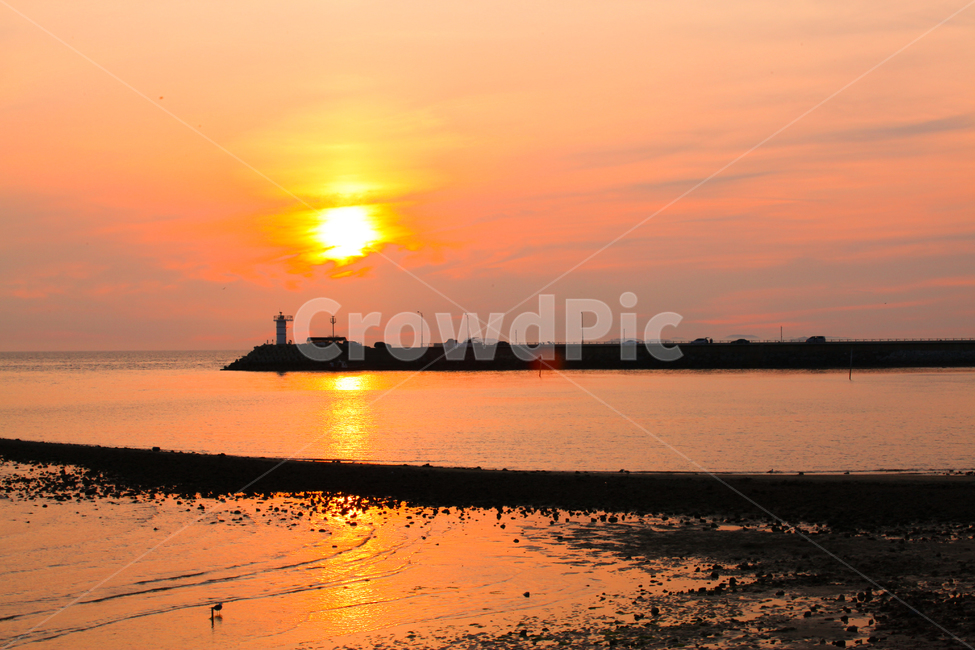 nature,자연,outdoors,옥외,sunlight,햇빛,sunset,일몰,붉은하늘,redsky,새벽,dawn,dusk,황혼,sky,하늘
