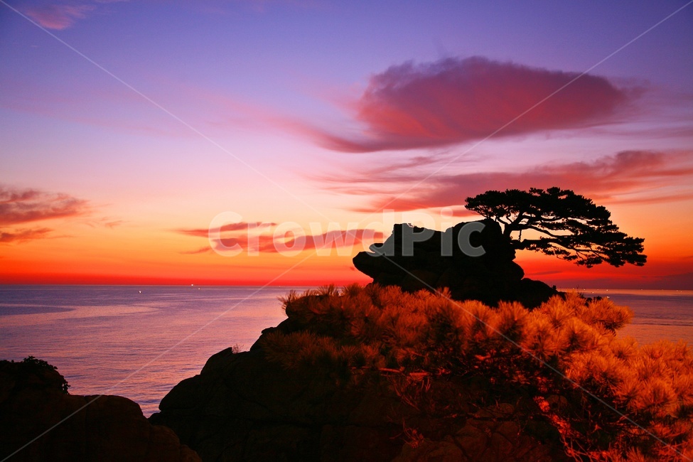 dusk,황혼,아침,물안개,sea,바다,water,물,ocean,대양,shoreline,해안선,동해안,하조대,하조대일출,여명,일출,해돋이,경치,경관,풍경,nature,자연,outdoors,옥외,sky,하늘,redsky,붉은하늘,dawn,새벽,한국자연풍경,한국자연경관,korea nature landscape