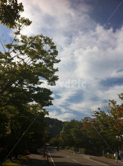 하늘,구름,sky,cloud,나무,tree,풍경