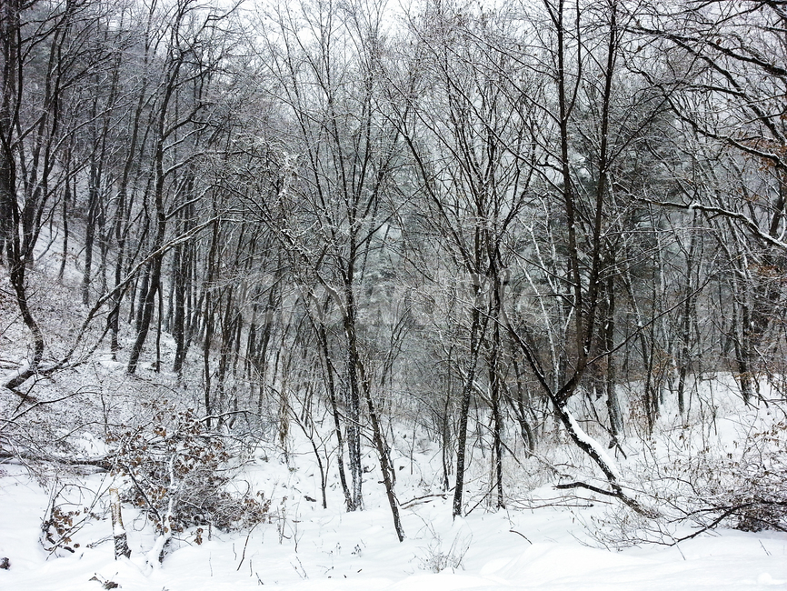 눈,겨울산,백설,겨울숲,눈밭,겨울,계절,winter,season,자연,풍경,nature,landscape,storm,폭풍,outdoors,옥외,snow,blizzard,눈보라
