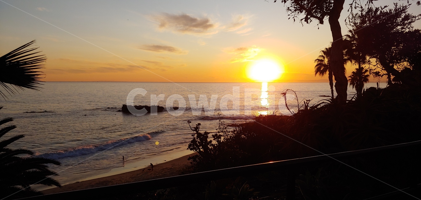 lagunabeach,california,모래사장,바닷가,파도,야자수,일몰,sunset,하늘