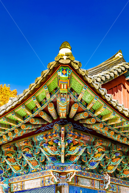 청평사,전통가옥,단청,기와지붕,처마,문화유산,가을,단풍,하늘,지붕,roof,건축물,건물,감성,한국의미,문화유산,한국전통,한국문화,korean traditional,korean culture,건축물,건물외관,exterior,building,structure,architecture,construction
