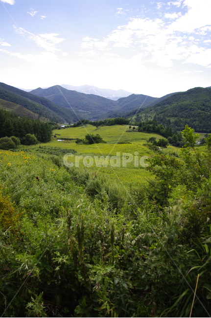 하늘,구름,산간,산,나무,식물,풍경,자연,풍경,nature,landscape,outdoors,옥외,field,들,grassland,목초지