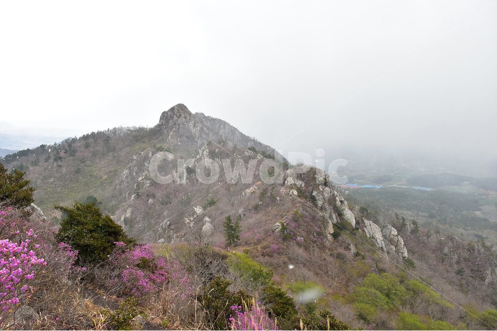 주작산,덕룡산,종주,진달래,풍경,기암,바위,비경,봄풍경,진달래꽃,강진,명산,산행,등산,마운틴,힐링,mountain,landscape,자연,natural,봄,계절,spring,season,자연,풍경,nature,landscape,한국자연풍경,한국자연경관,korea nature landscape,outdoors,옥외,산,mountain range,산맥