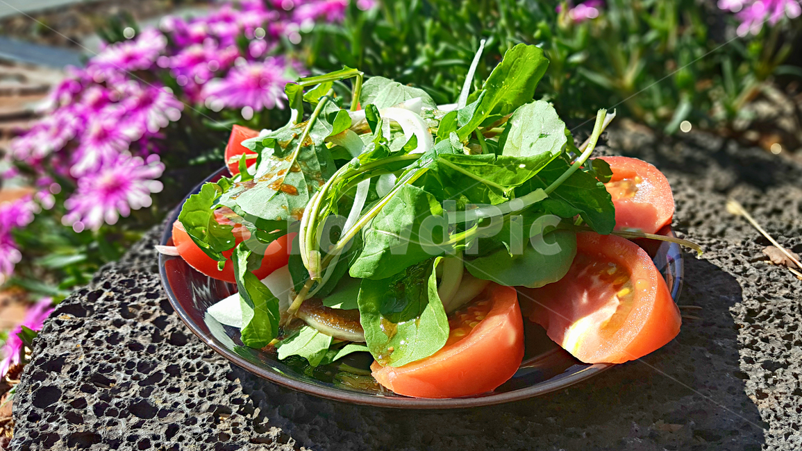 루콜라토마토샐러드,루꼴라토마토샐러드,샐러드,salad,토마토샐러드,루콜라샐러드,요리,푸드,food,음식,음식,식재료,요리,food,cook,meal,dishes,food reserves,채소,야채,vegetables