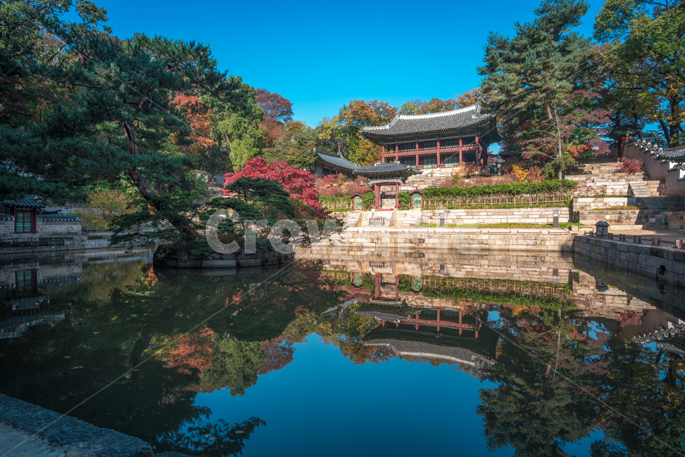 창덕궁,후원,창덕궁후원,가을단풍,단풍,한국전통,한국문화,korean traditional,korean culture,건축물,건물외관,exterior,building,structure,architecture,construction