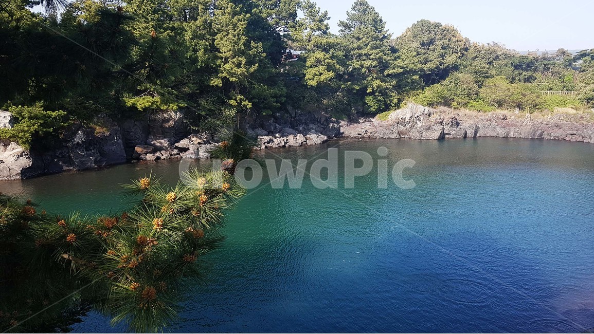 해변,바다,하늘,해수욕장,구름,자연,풍경,제주도,평화,쉼,에메랄드,푸른,파란,나무,쇠소깍,호수,자연,풍경,nature,landscape,한국자연풍경,한국자연경관,korea nature landscape,제주도,jeju,jeju island,water,물,outdoors,옥외