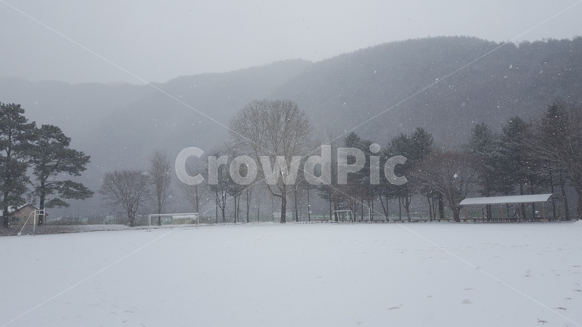 눈,설경,운동장,자연,시골,눈보라,겨울,winter,snow