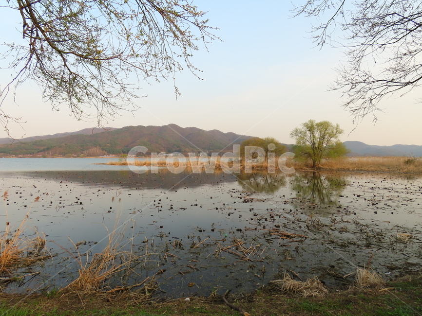 경기도,양평군,두물머리,양수리,한강,자연,풍경,nature,landscape,outdoors,옥외,land,땅,water,물